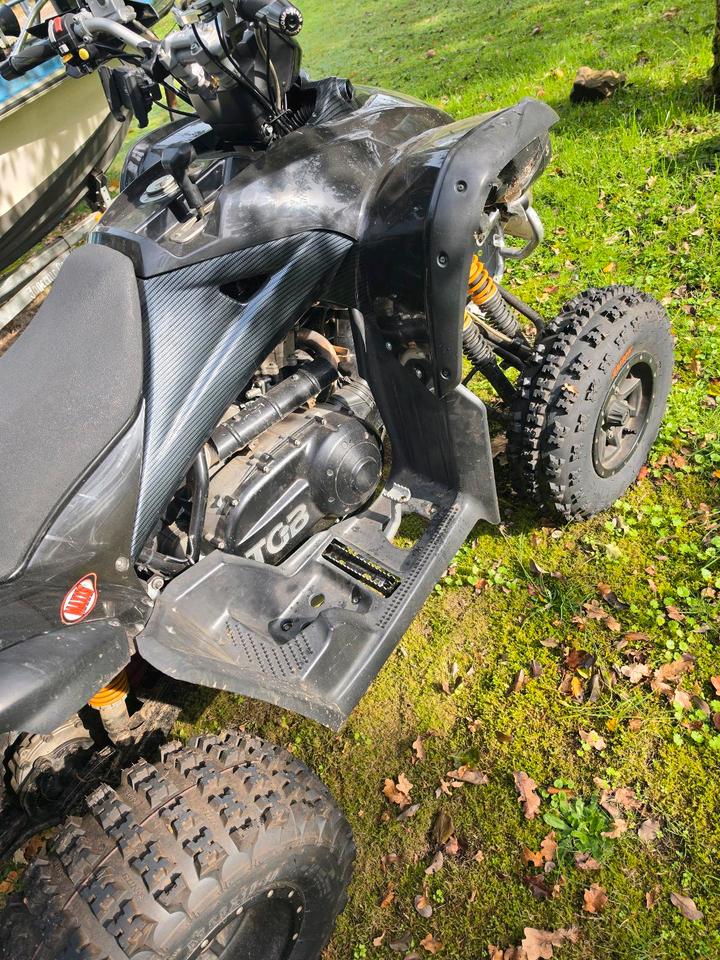 Weitere Motorräder TGB Target 525 2009 — photo 5