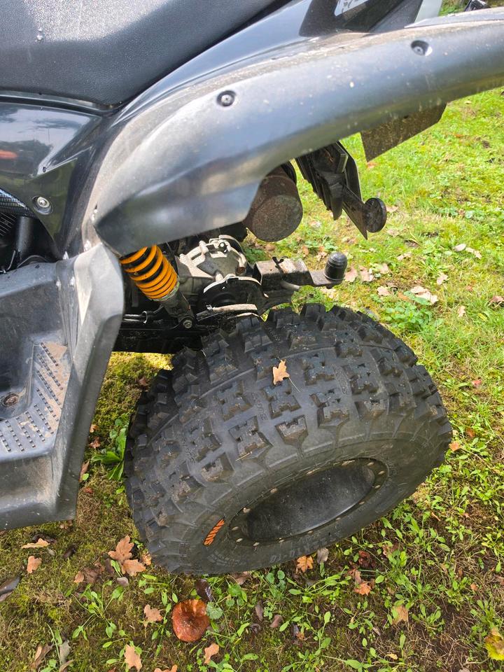 Weitere Motorräder TGB Target 525 2009 — photo 7