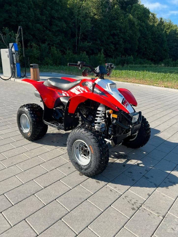 Weitere Motorräder POLARIS Trail Blazer 330 QUAD 2011 — engine 330 ccm