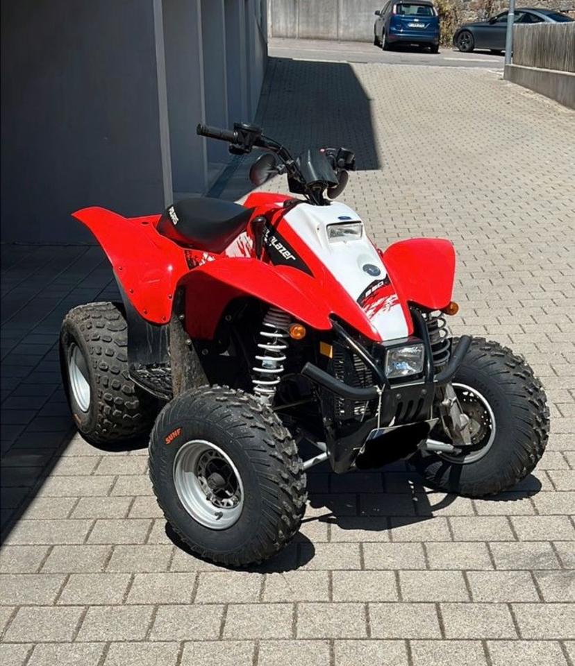 Weitere Motorräder POLARIS Trail Blazer 330 QUAD 2011 — photo 6