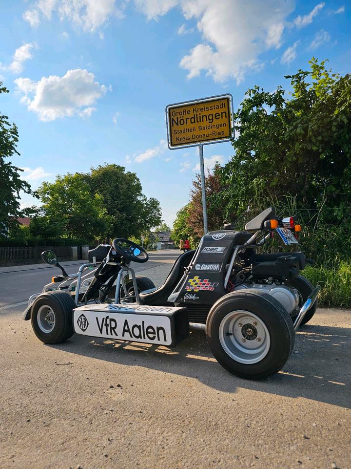 Kreidler F-Kart 170 Go-Kart mit Straßenzulassung Gokart Rarität