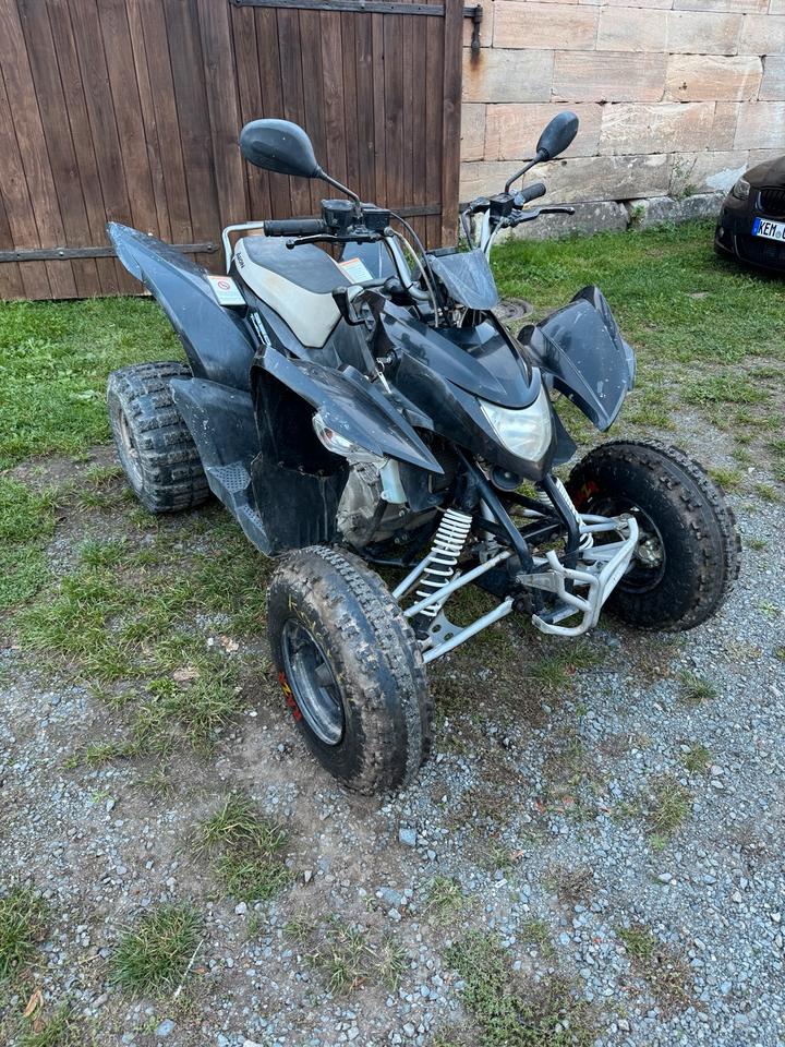 Weitere Motorräder AEON Cobra 350 Quad 2008 — rear view