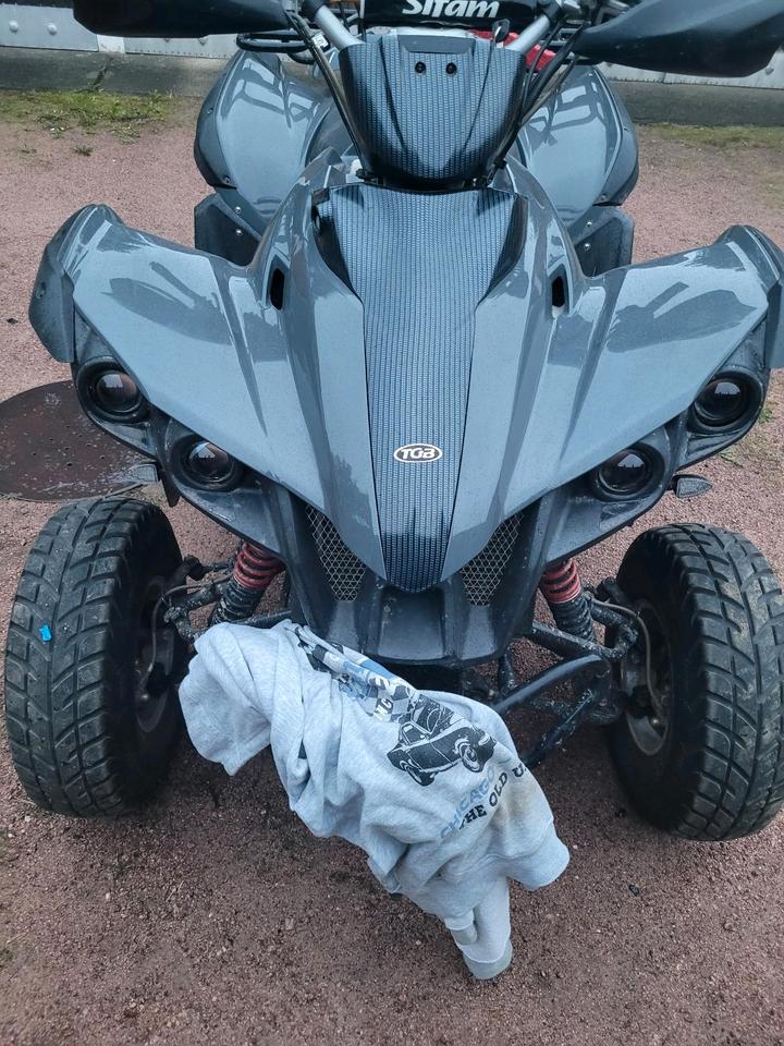 Weitere Motorräder Quad TGB Target 325 er 2013 — rear view