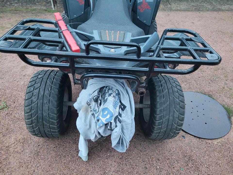 Weitere Motorräder Quad TGB Target 325 er 2013 — photo 5