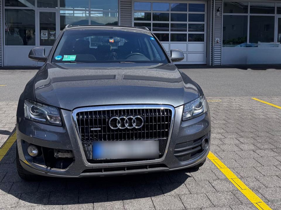 Audi Q5 2009 — вигляд ззаду