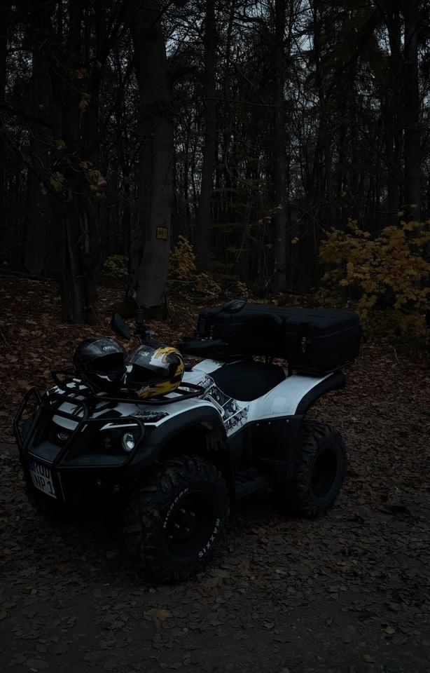 Weitere Motorräder Quad TGB 325 2011 — rear view