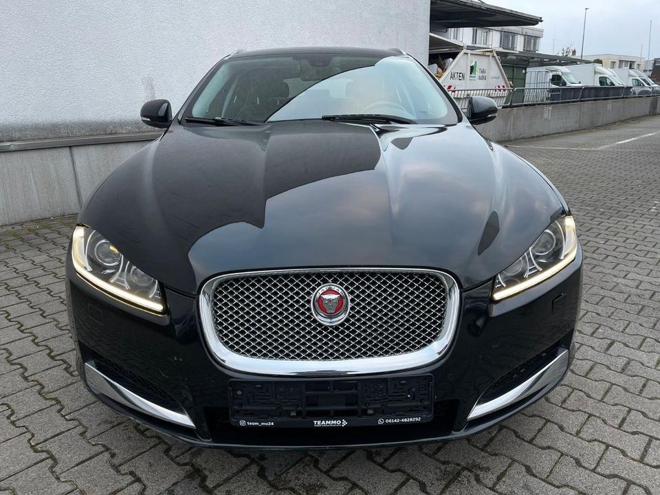 Jaguar XF 2014 — rear view