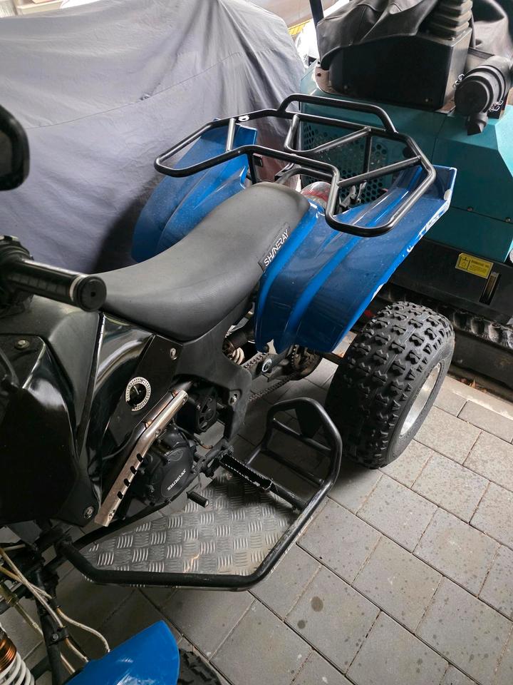 Weitere Motorräder Shineray Quad XY350ST-E 2010 — rear view
