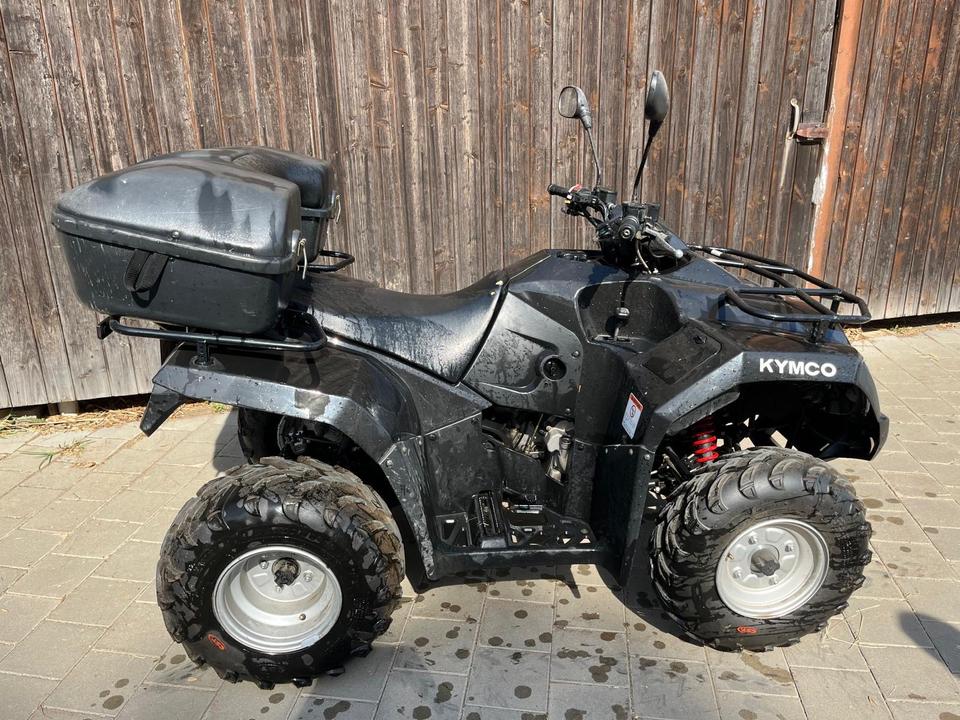 Kymco Quad KYMCO MXU 250R 2010 — двигун