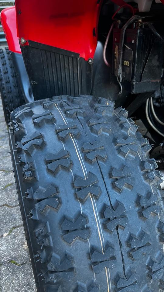  Quad ATV Polaris TrailBoss 330 - 600KG AHK 2010 — фото 11