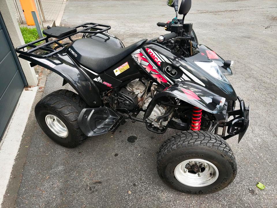 Kymco KXR 250 Sport - wenig KM - guter Zustand 2005 — rear view