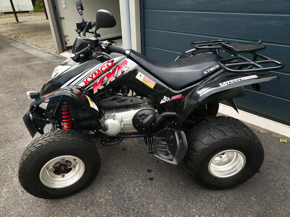 Kymco KXR 250 Sport - wenig KM - guter Zustand 2005 — interior
