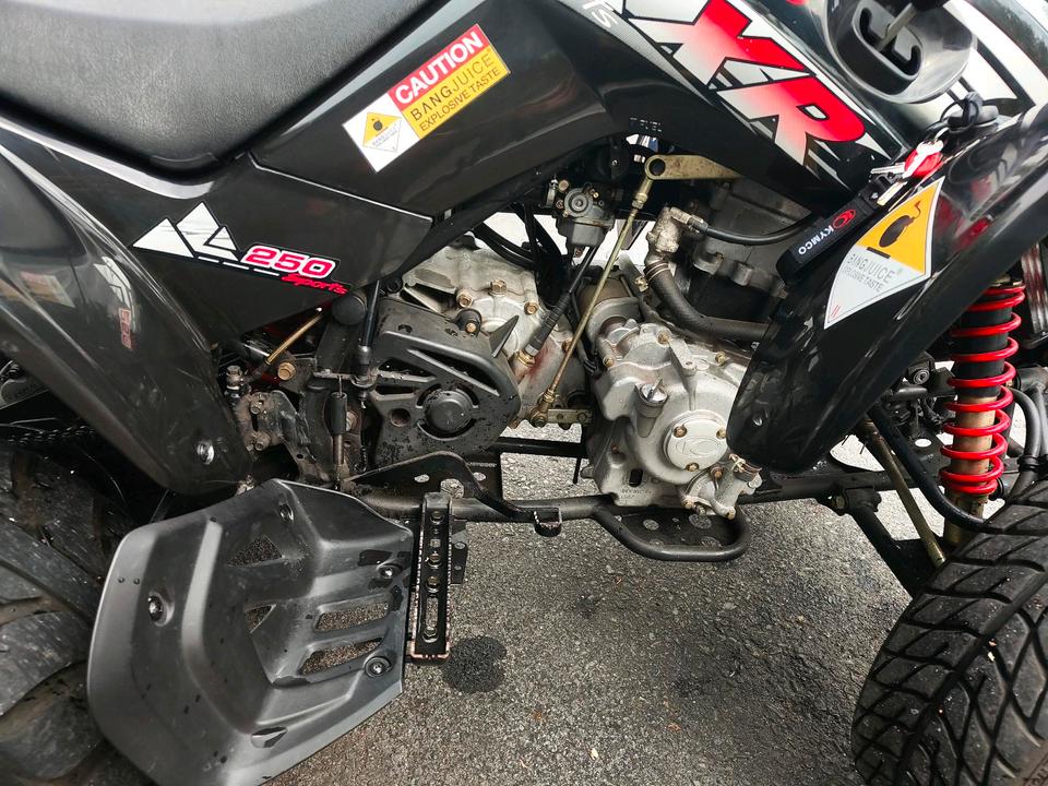 Kymco KXR 250 Sport - wenig KM - guter Zustand 2005 — photo 5