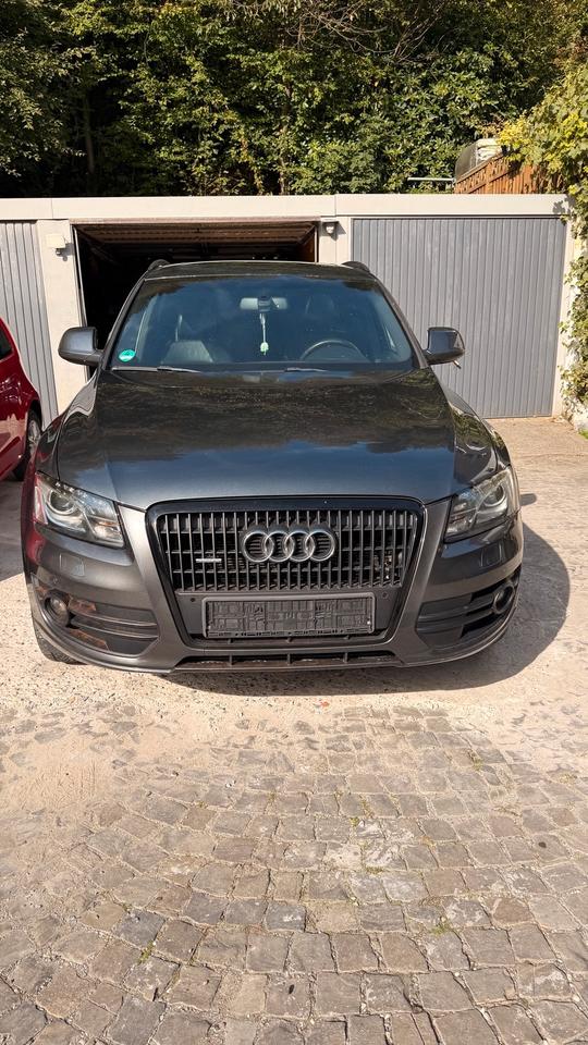 Audi Q5 2009 — rear view
