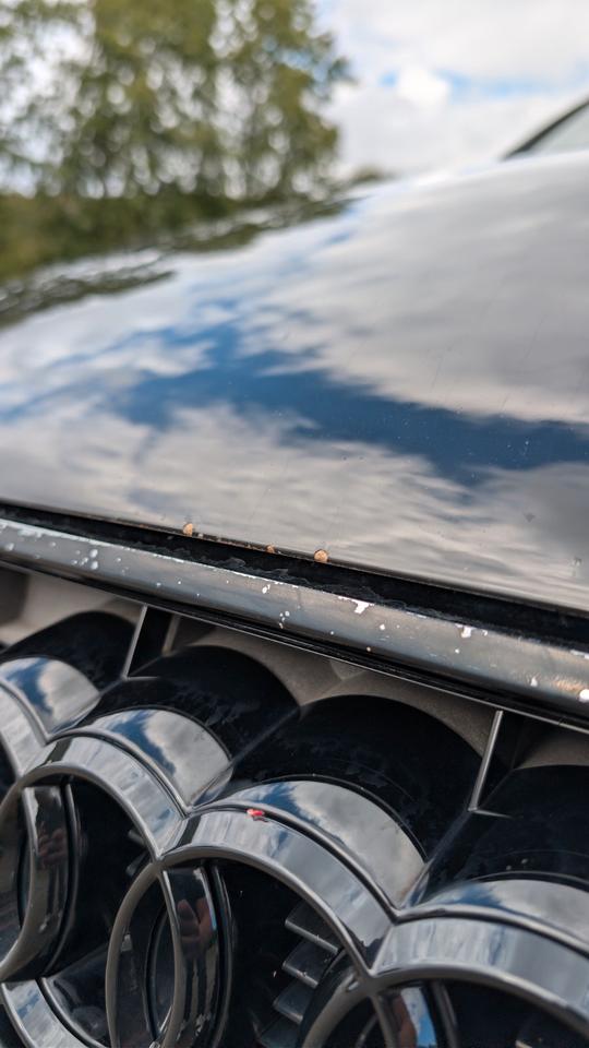 Audi A4 2014 — photo 18