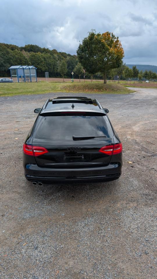 Audi A4 2014 — photo 6