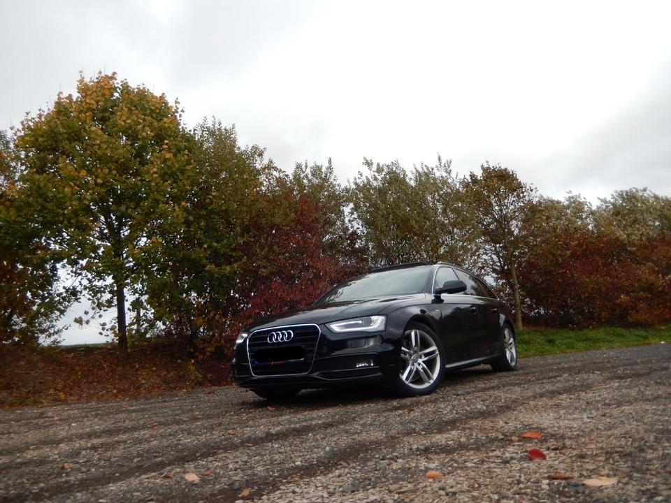Audi A4 2014 — photo 7