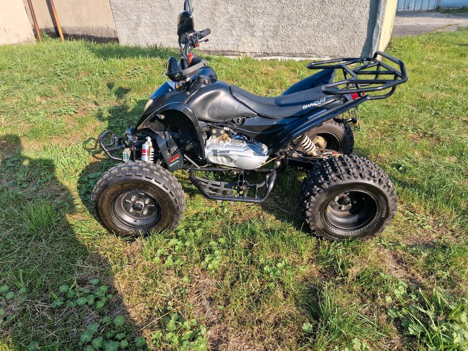 Weitere Motorräder Gelöscht • SHINERAY XY200ST-9 Automatik Quad 2014 — вигляд ззаду