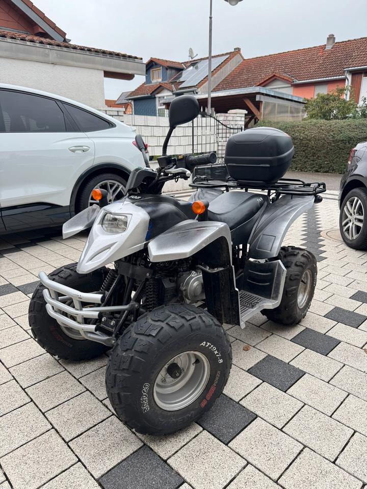  TGB Quad ATV mit Straßenzulassung Koffer Offroad Tausch 2005 — rear view