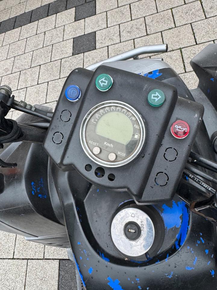  TGB Quad ATV mit Straßenzulassung Koffer Offroad Tausch 2005 — engine 50 ccm
