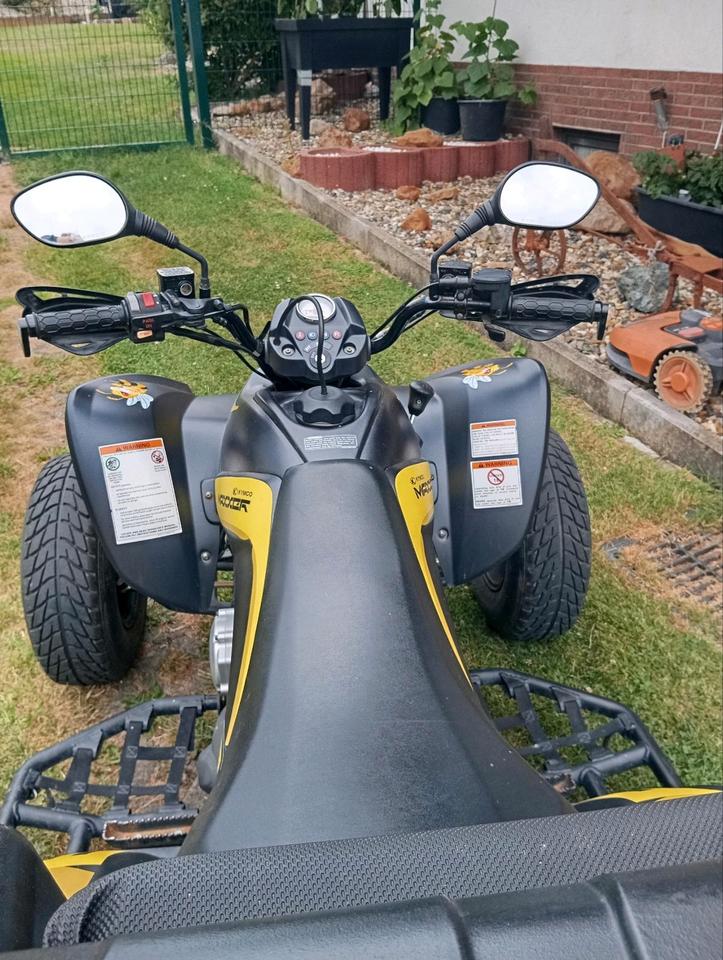 Kymco Quad Kymco Maxxer 300 2015 — rear view