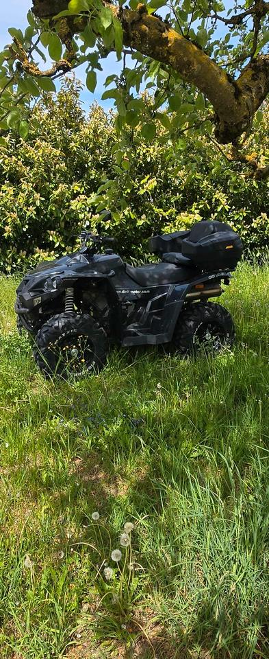 Weitere Motorräder ATV Dinli 800efi 2013 — photo 10