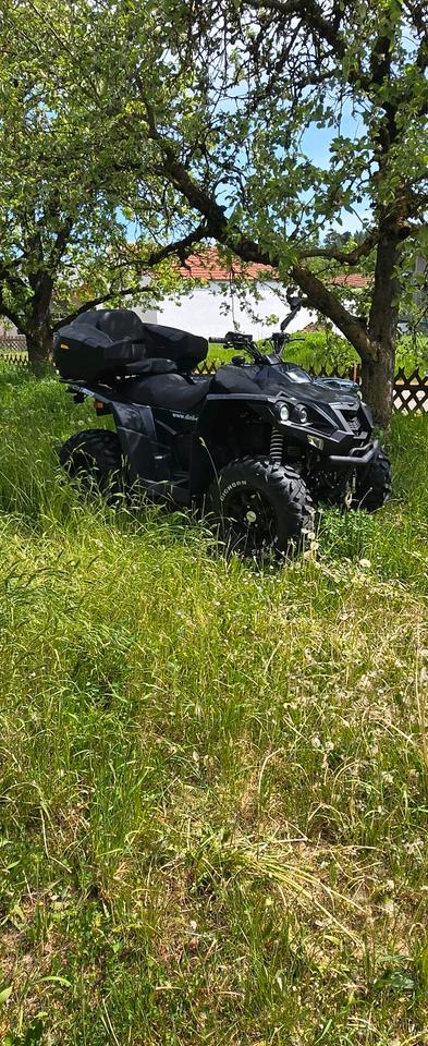 Weitere Motorräder ATV Dinli 800efi 2013 — photo 11