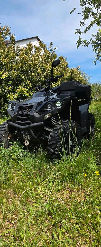 Weitere Motorräder ATV Dinli 800efi 2013 — rear view