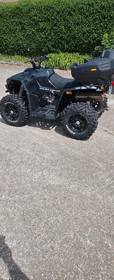 Weitere Motorräder ATV Dinli 800efi 2013 — photo 7