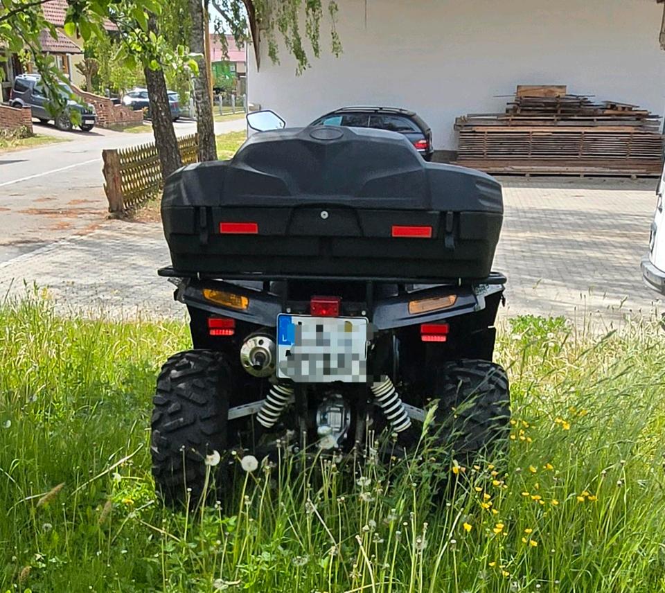 Weitere Motorräder ATV Dinli 800efi 2013 — photo 8
