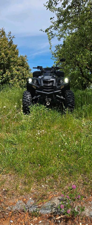Weitere Motorräder ATV Dinli 800efi 2013 — photo 9