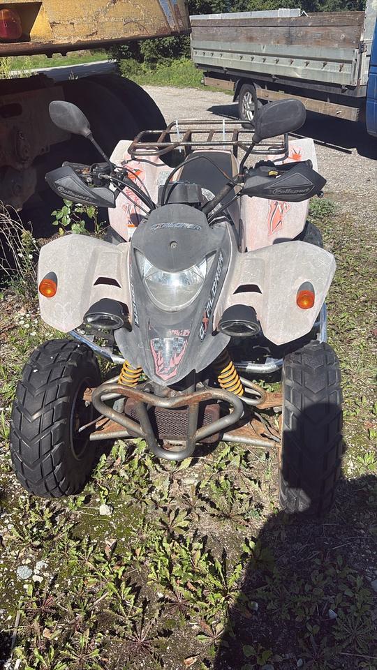 Weitere Motorräder Gelöscht • Quad cm 250 2005 — вигляд ззаду