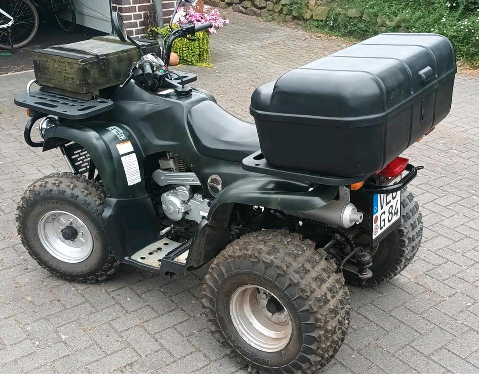 Weitere Motorräder Quad Reinmech Bison MT 175 2004 — rear view