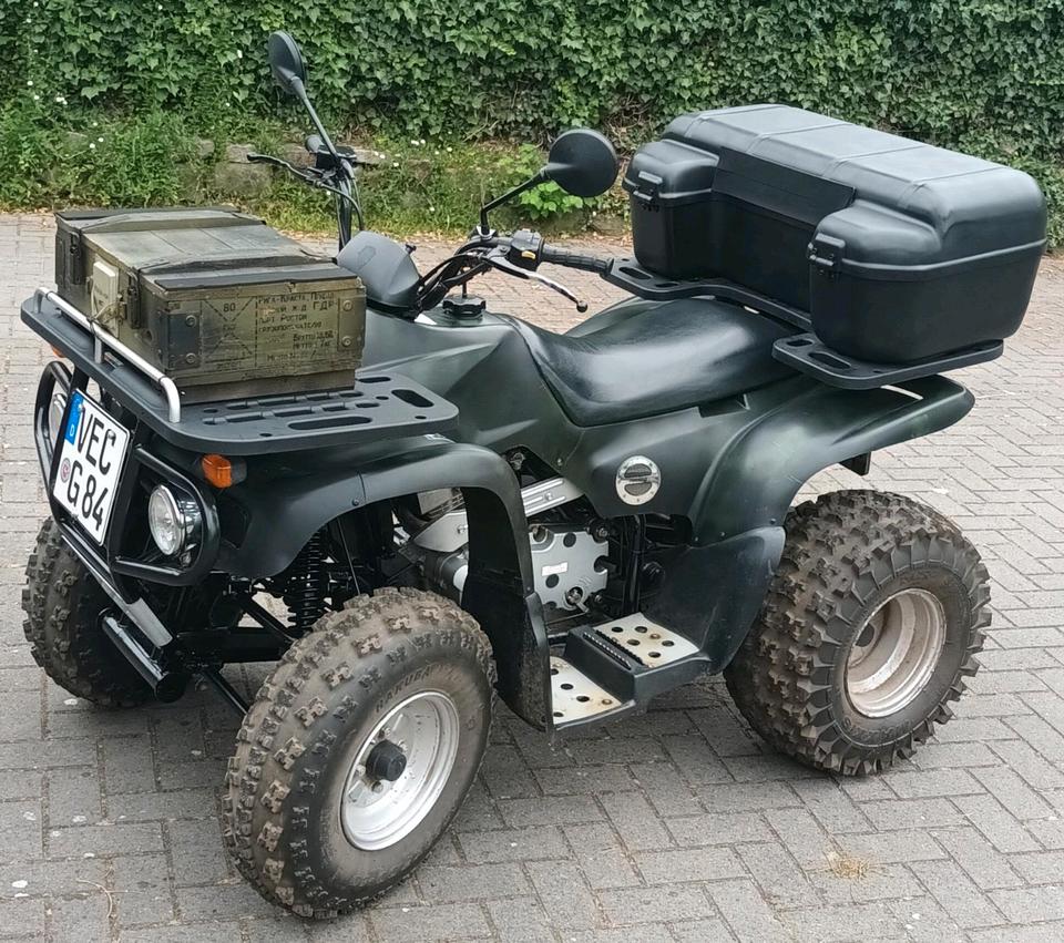 Weitere Motorräder Quad Reinmech Bison MT 175 2004 — interior