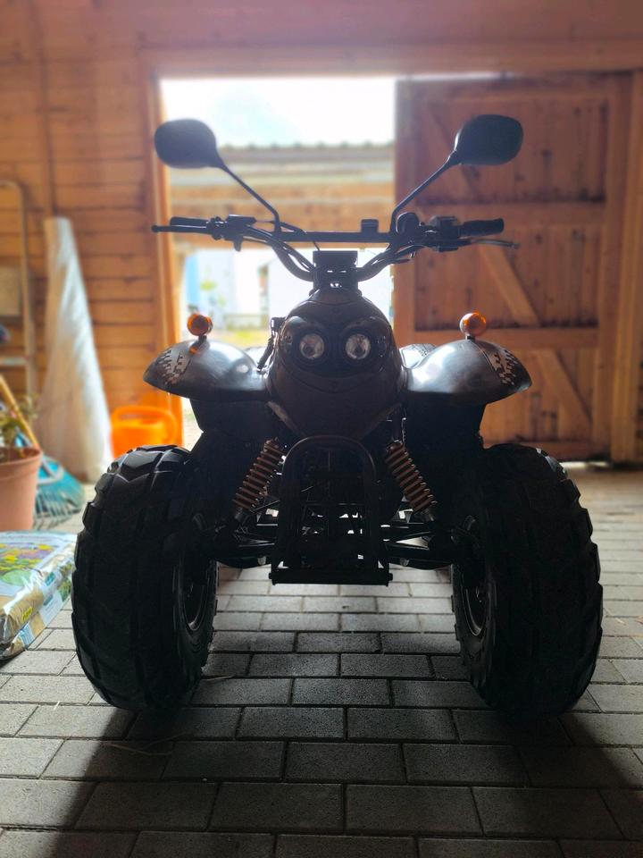 MZ *Quad 100ccm* mit Straßenzulassung 2004 — салон