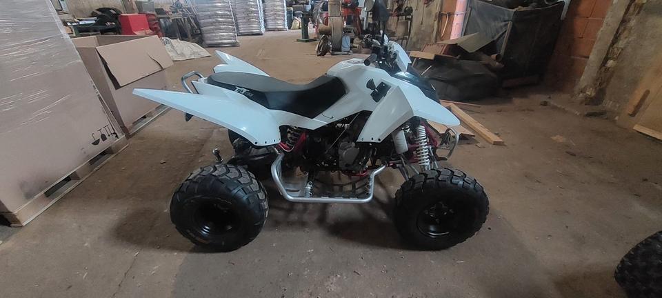 Weitere Motorräder Gelöscht • Quad Triton Baja 400 2011 — engine