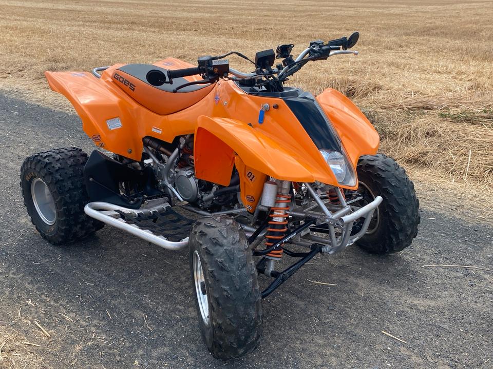  Quad Sportquad 450ccm Hyosung 450 TE - TÜV Neu - Leistung Offen 2008 — rear view