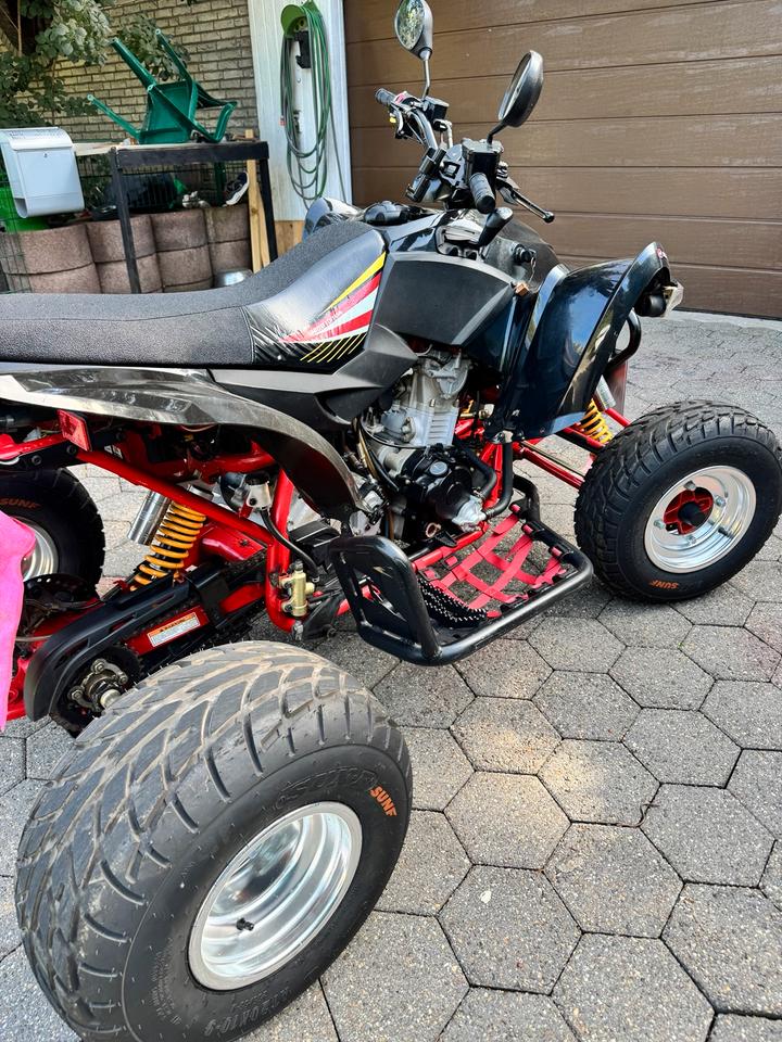  Gelöscht • Quad Aeon Cobra 400 supermoto 2014 — photo 11
