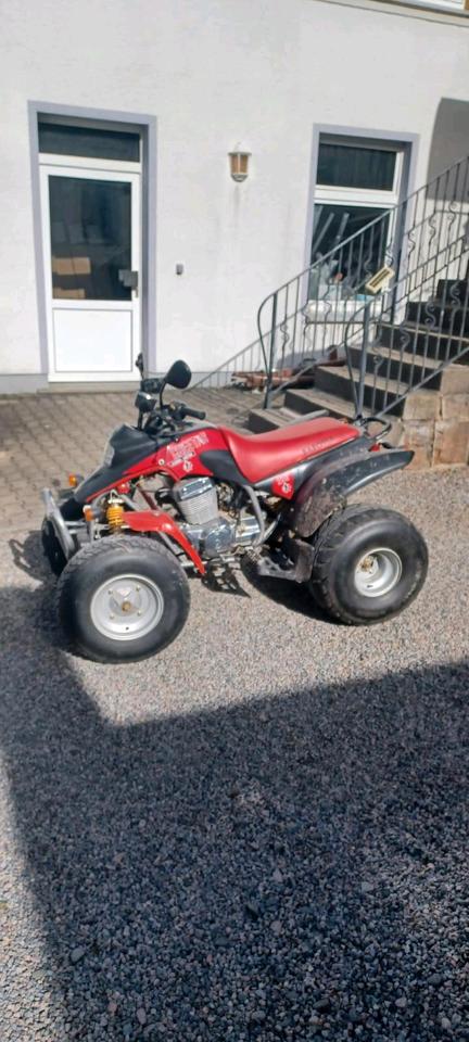 Weitere Motorräder Quad zu verkaufen AAM 170 2005 — rear view