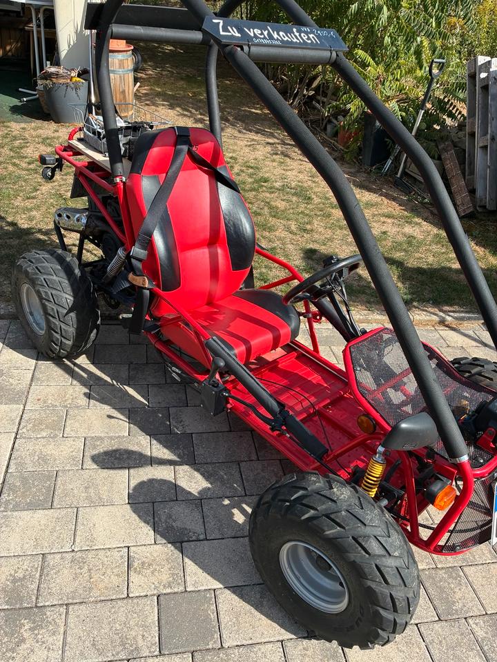  Adly Buggy ATK 2004 — rear view