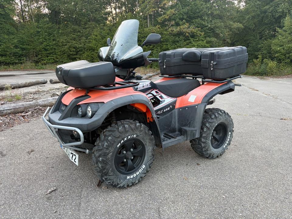 Weitere Motorräder TGB Blade 425 mit Seilwinde 2011 — rear view