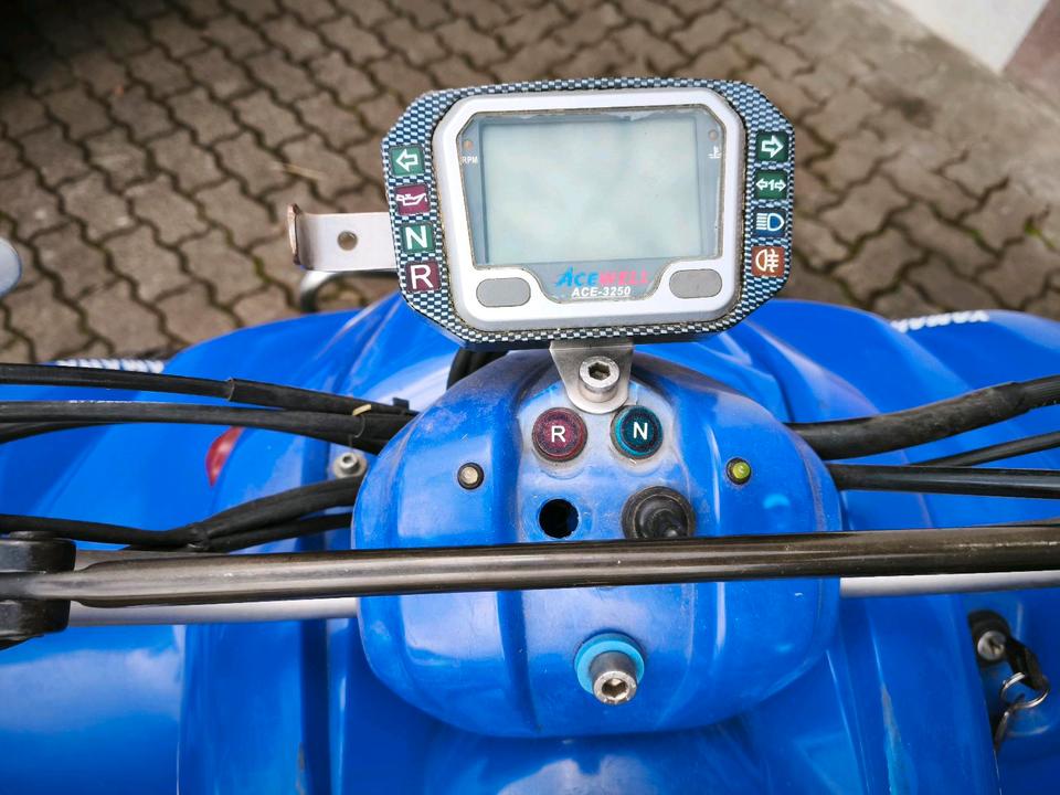 Yamaha YFM 350 Quad – 348 ccm / 20 kW (27 PS) 2004 — photo 9