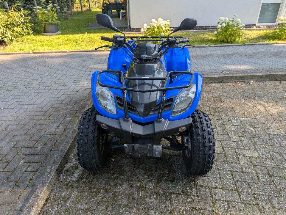 Kymco MXU 300 Wide | Rechnungen vorhanden | Sofort fahrbereit 2010 — rear view