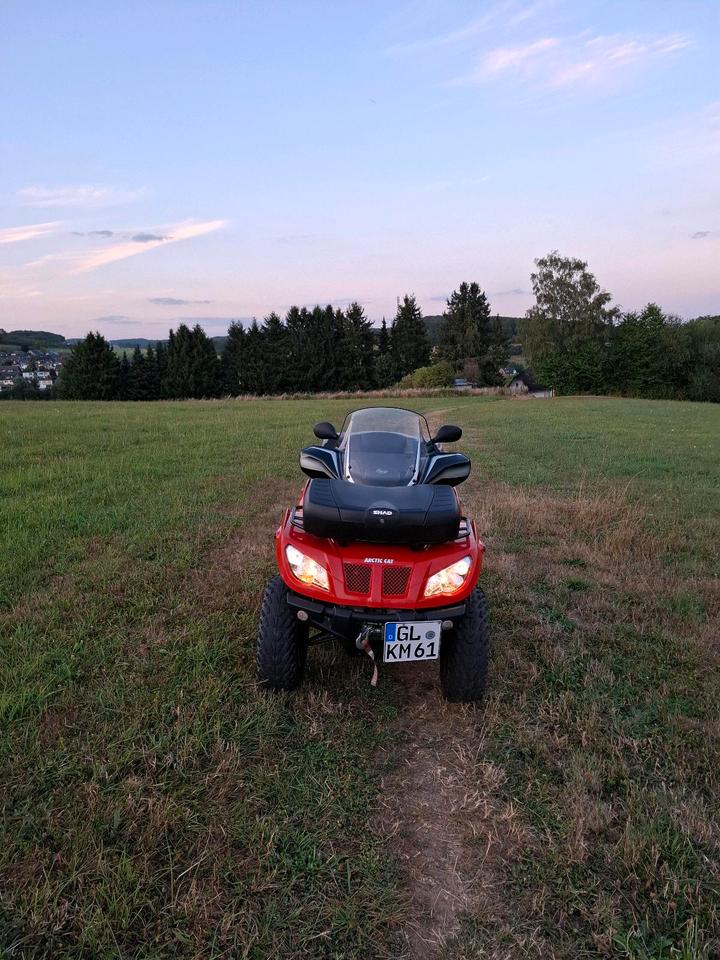 Weitere Motorräder Qwad Arctic cat 400 2014 — rear view