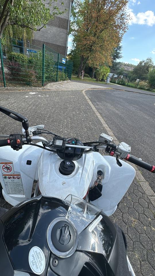 Yamaha raptor 350 LOF Alles neu mit rechnung 2007 — photo 11