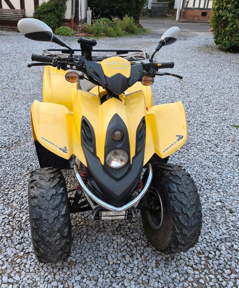 Weitere Motorräder Sachs Quad DINLI (RC) 2012 — вигляд ззаду