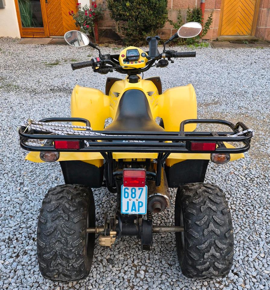 Weitere Motorräder Sachs Quad DINLI (RC) 2012 — салон