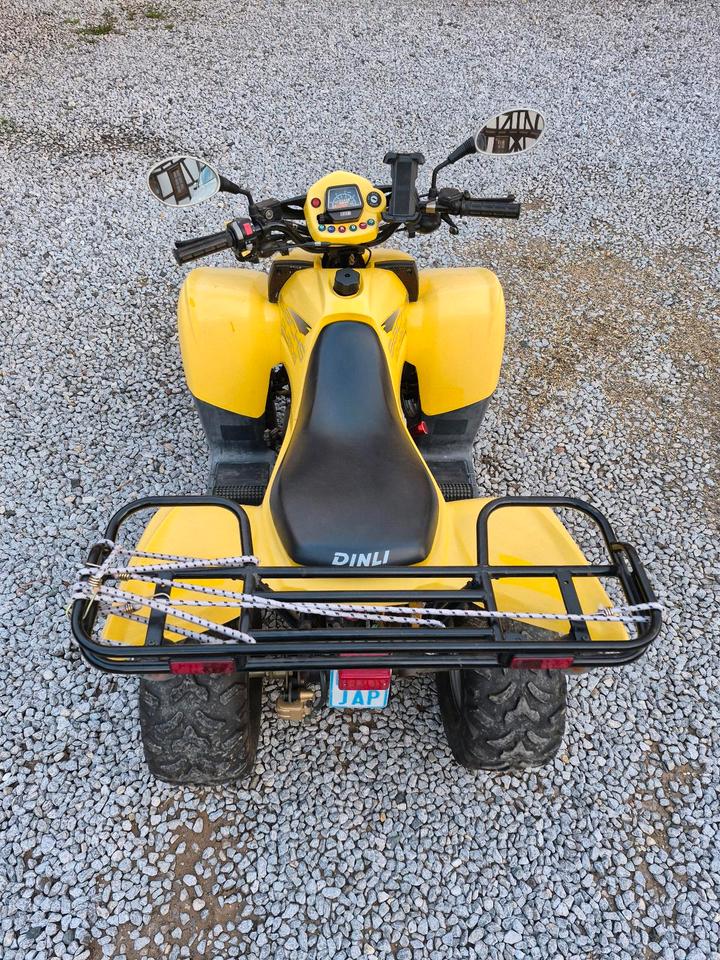 Weitere Motorräder Sachs Quad DINLI (RC) 2012 — двигун 49 ccm