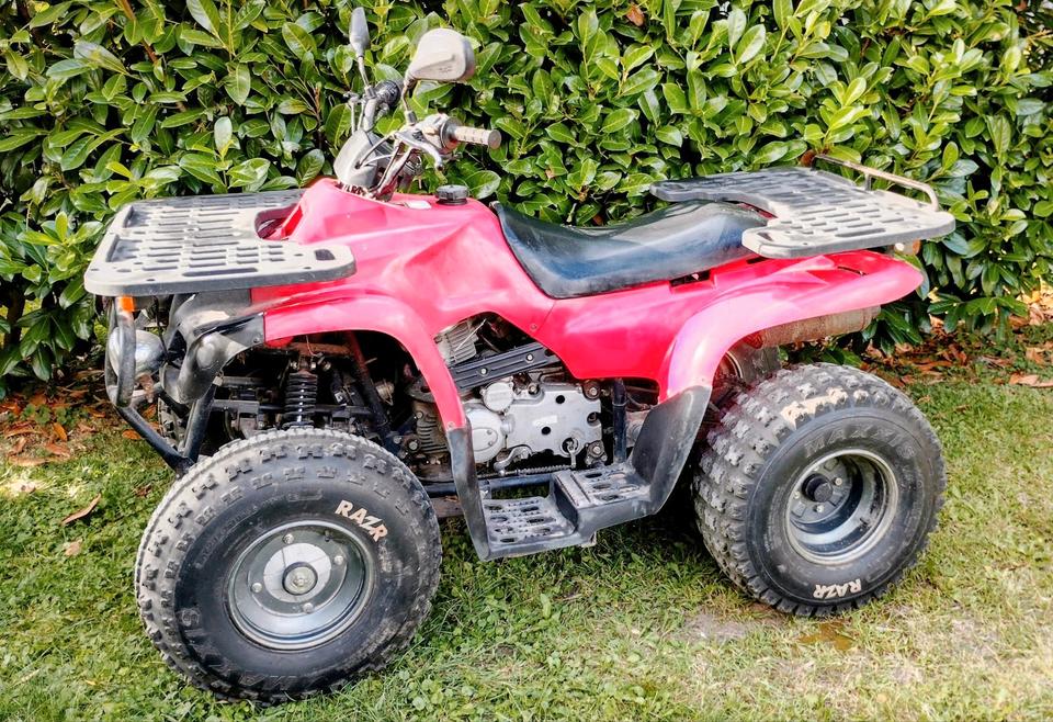 Quad zu verkaufen 2004 — авто для ЗСУ з Європи