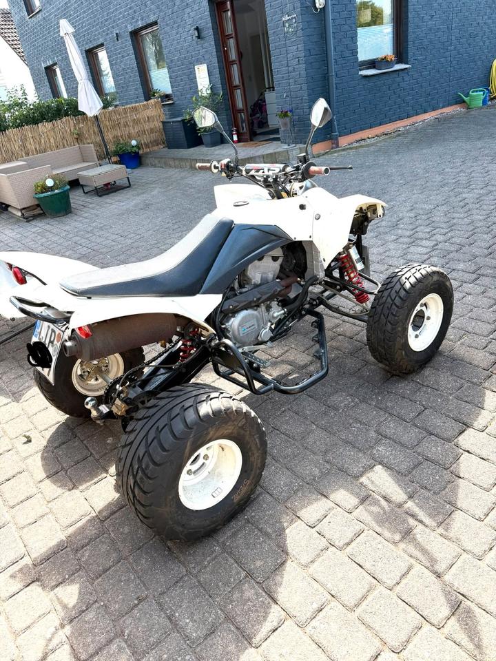 Weitere Motorräder Explorer Trasher 520 | Subaru Motor | 49 PS | LOF | Quad 2014 — rear view